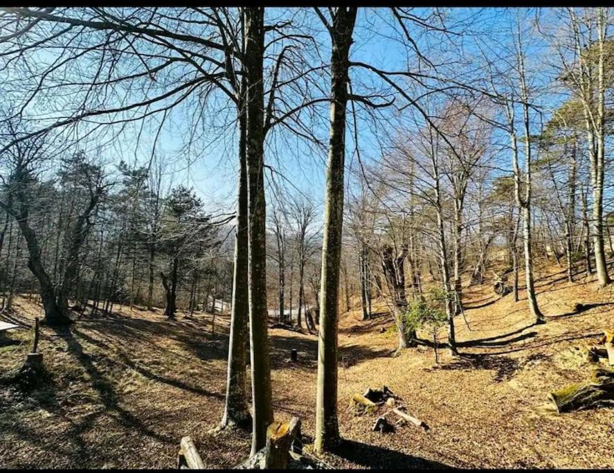 Il Villaggio Dei Puffi Bardineto Екстериор снимка