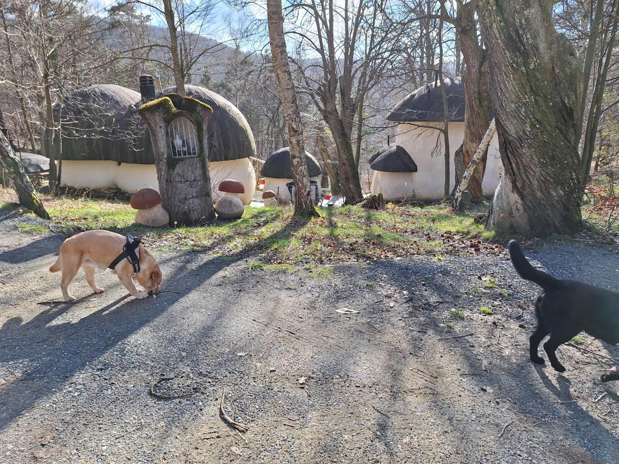 Il Villaggio Dei Puffi Bardineto Екстериор снимка